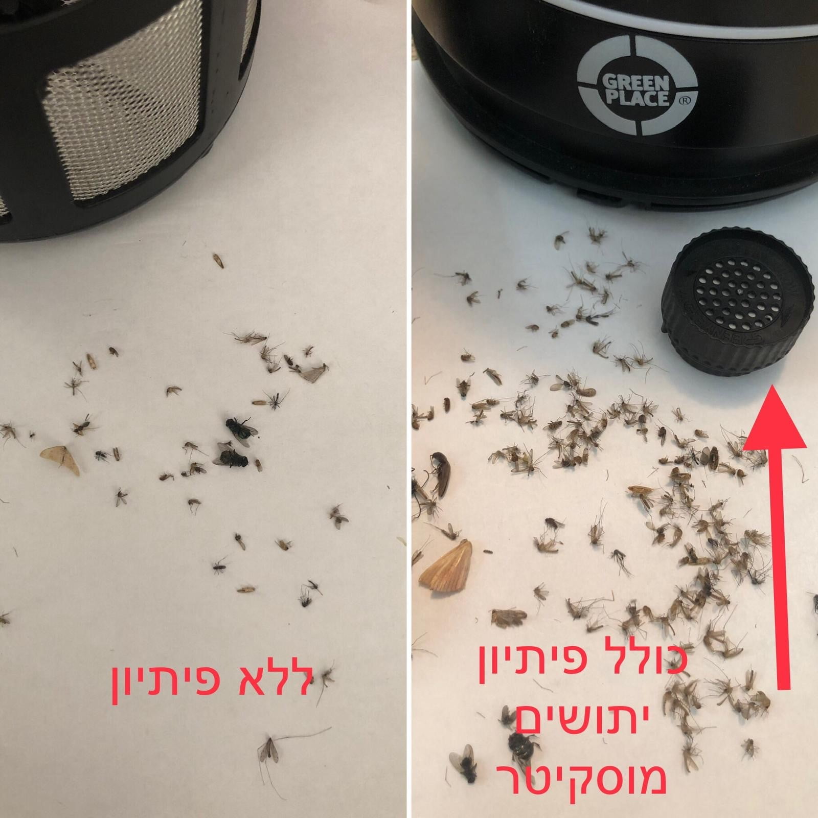 מוסקיטר –  פתיון עוצמתי ללכידת יתושים