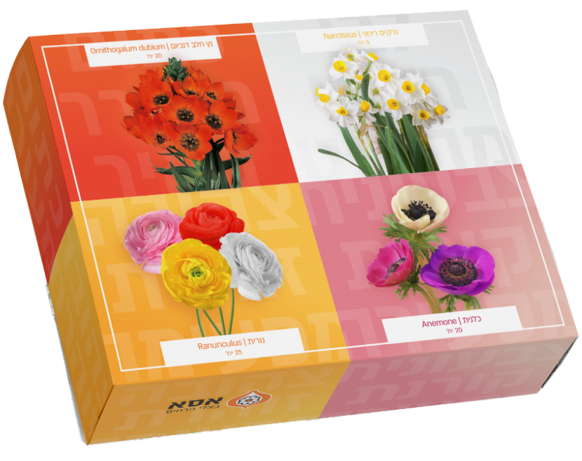 מארז פקעות מהודר – 70 פקעות