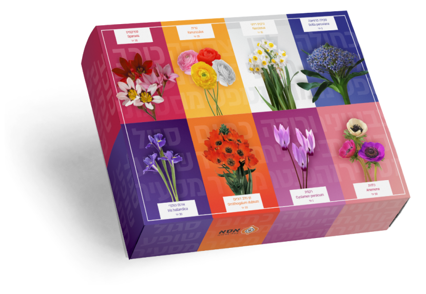 מארז פקעות מהודר 118 פקעות – מתנה מושלמת