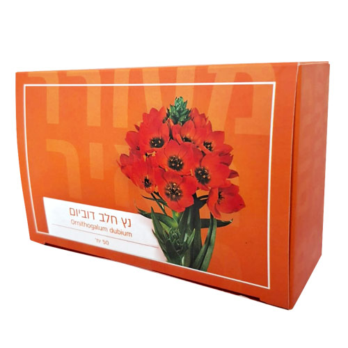 נץ חלב דוביום 50 פקעות